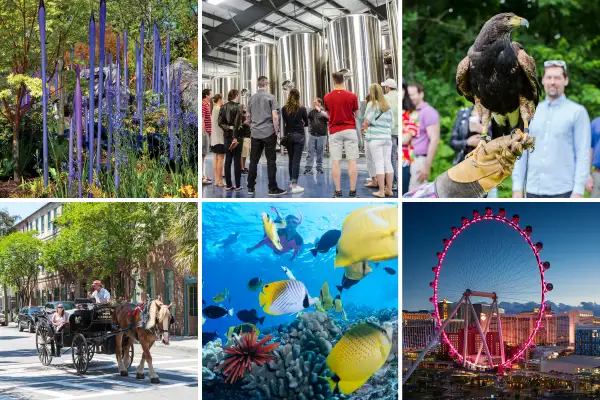 (clockwise from top left) Chihuly Garden and Glass, Seattle, Washington; City Brew Tour, Burlington, Vermont; Falconry beginner's lesson, The Greenbreier, White Sulphur Springs, West Virginia; The High Roller at The LINQ, Las Vegas, Nevada; Snorkeling in the Molokini Crater, Maui, Hawaii; Old South Carriage Historic Tour, Charleston, South Carolina.