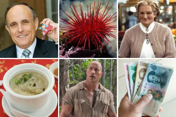 (Top, left to right) Rudolph Giuliani, Former Mayor of New York Outside Buckingham Palace after receiving an Honorary Knighthood from the Queen, Red Sea Urchin, Robin Williams as Ms. Doubtfire; (bottom, left to right) Bird's nest soup, The Rock in  Jumanji,  Renminbi.