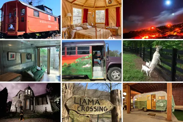 (top row, left to right) Lockhaven, Eugene, Pahoa; (middle row, left to right) Gainesville, Golconda, Charlottesville; (bottom row, left to right) St. Paul, Asheville, Los Angeles