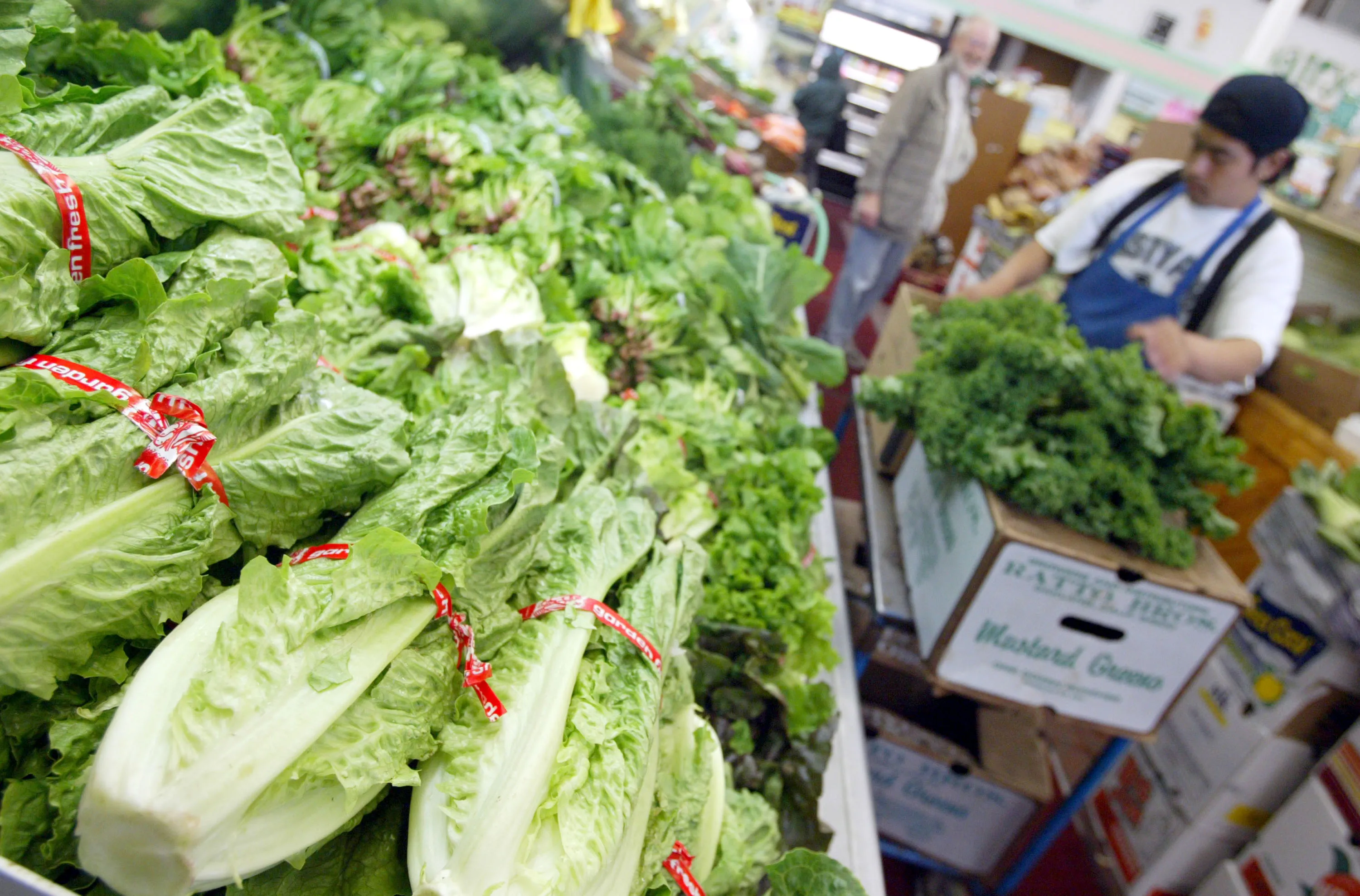 SAN FRANCISCO - APRIL 28:  Heads of romaine lettuce fill a produce case at the Fruit Barn produce store in San Francisco. Laboratory studies commissioned by the Environmental Working Group in Oakland found the chemical perchlorate, a hormone disrupter, in four of 22 samples of lettuce traced to growers in Southern California or Arizona. A typical serving of the contaminated lettuce would contain four times the level of perchlorate considered safe in drinking water.  (Photo by Justin Sullivan/Getty Images)