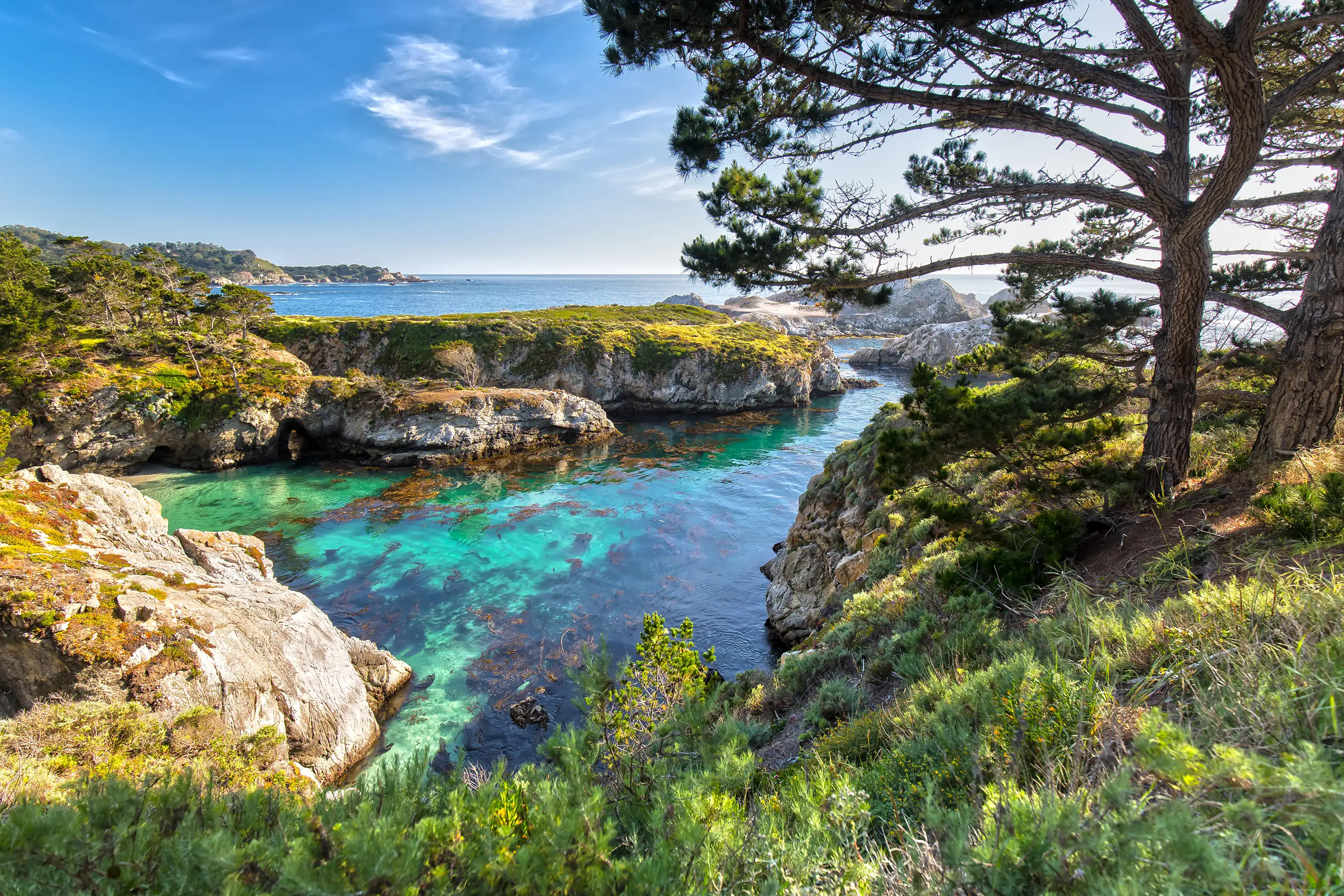 Point Lobos State Reserve at Highway 1 in California