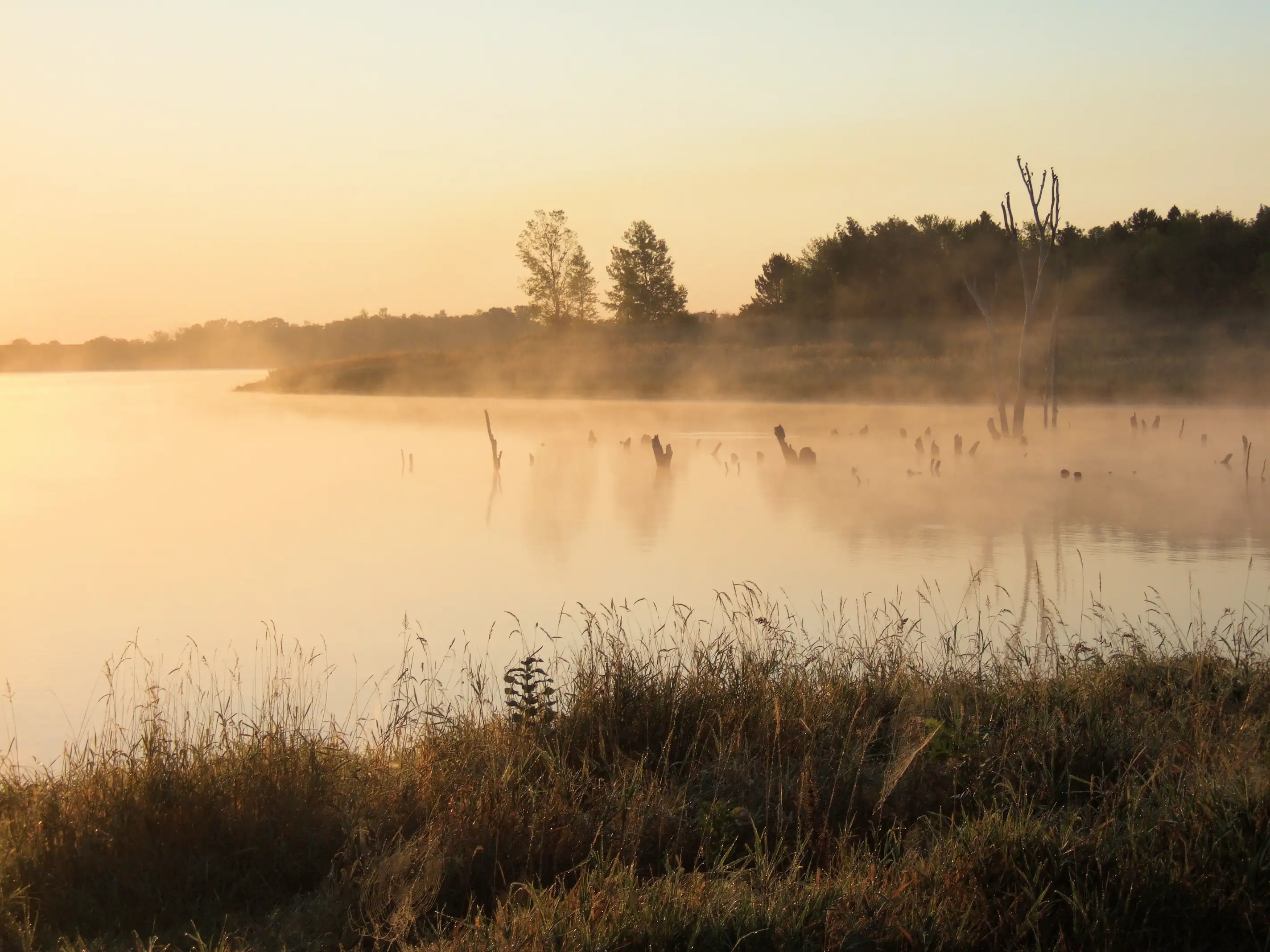 Misty sunrise over Lake Zorinsky