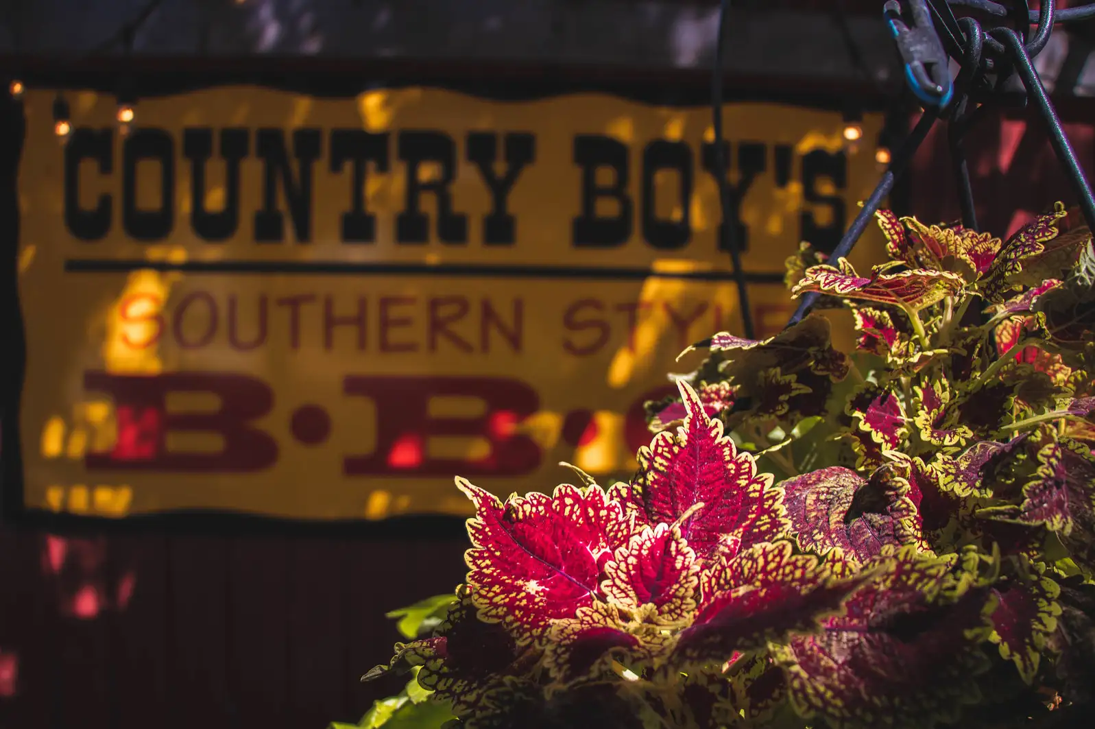 Country Boyâs Southern Style BBQ