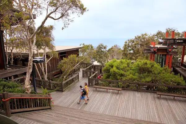 A view of the Pacific from UC–San Diego's Scripps Institution of Oceanography.