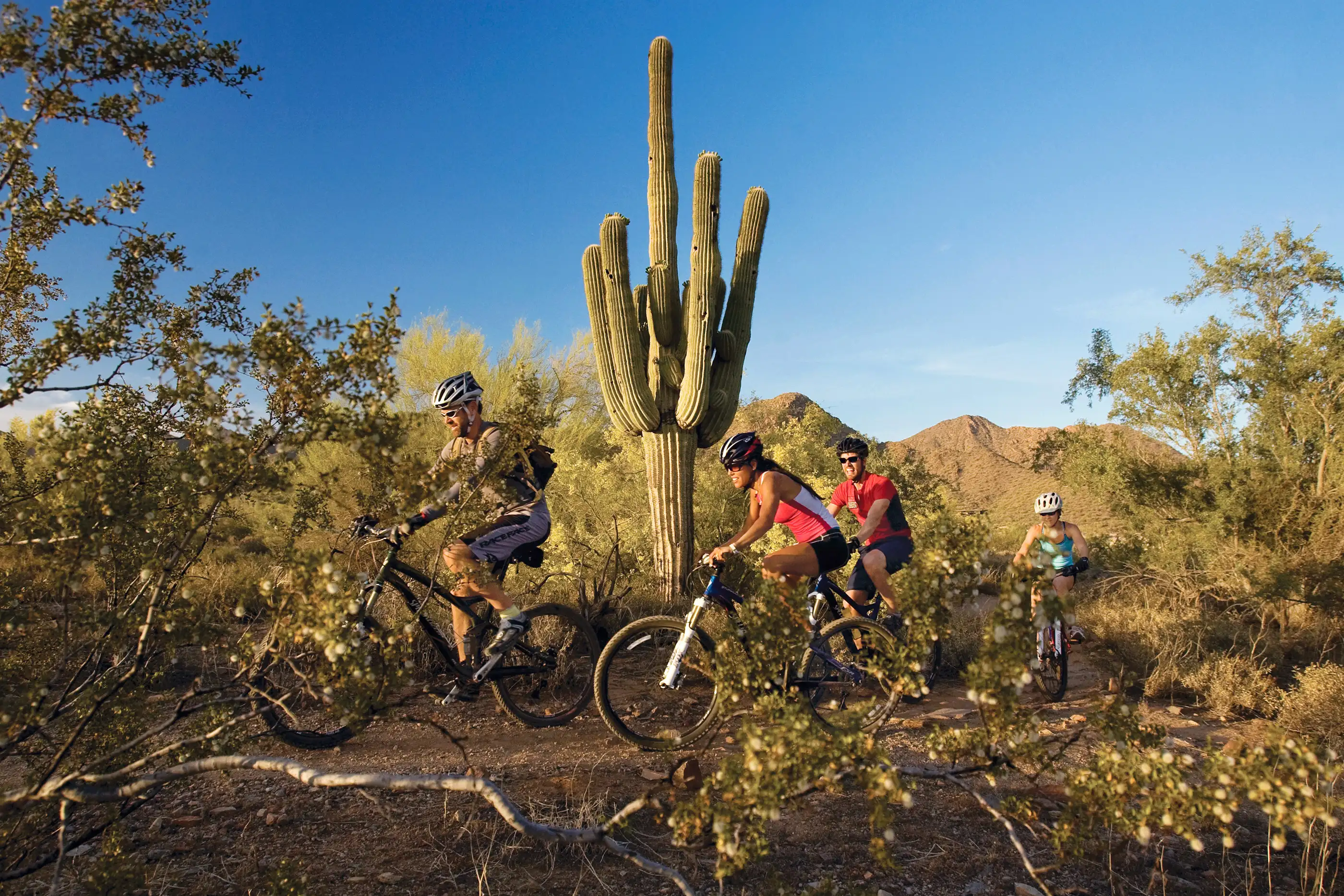 Mountain bikers navigate Lost Dog Wash Trail outside Mesa.