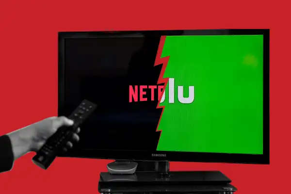 Hulu or Netflix