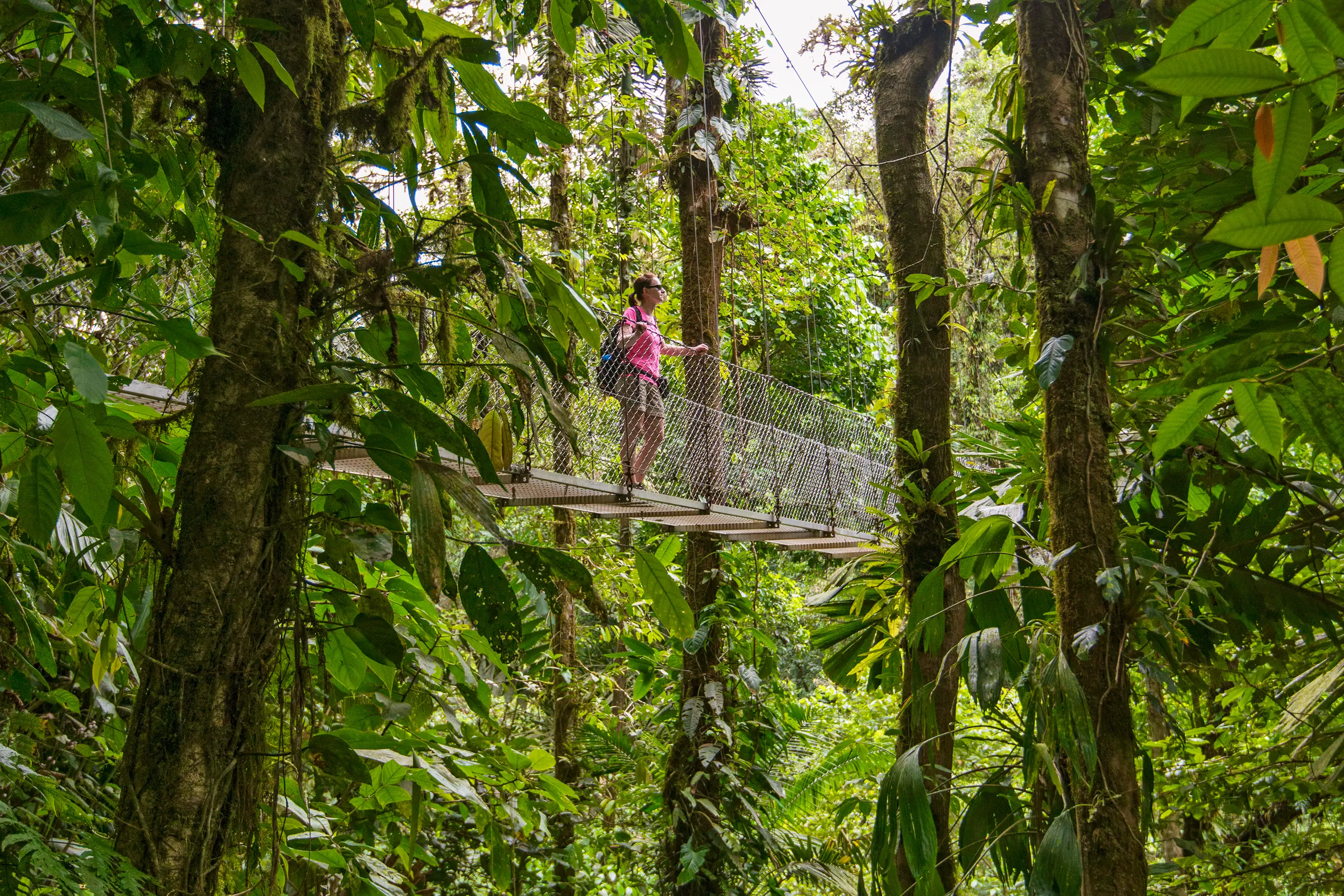 The Monteverde Cloud Forest Reserve gives visitors an up-close view of the regionâ€™s vast biodiversity.