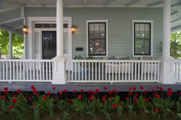 Tulips by the Porch
