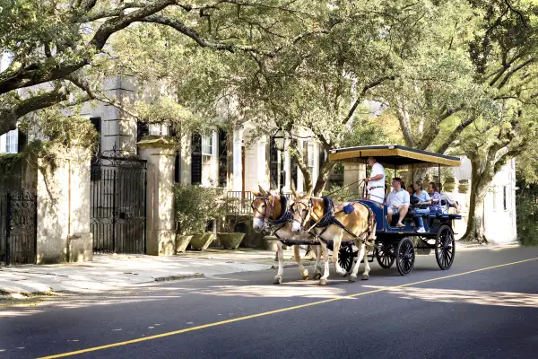 horse drawn carriage in Charleston South Carolina