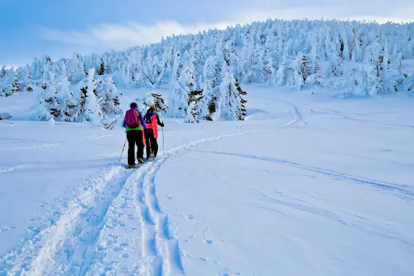 People snowshoeing in Bend, Oregon