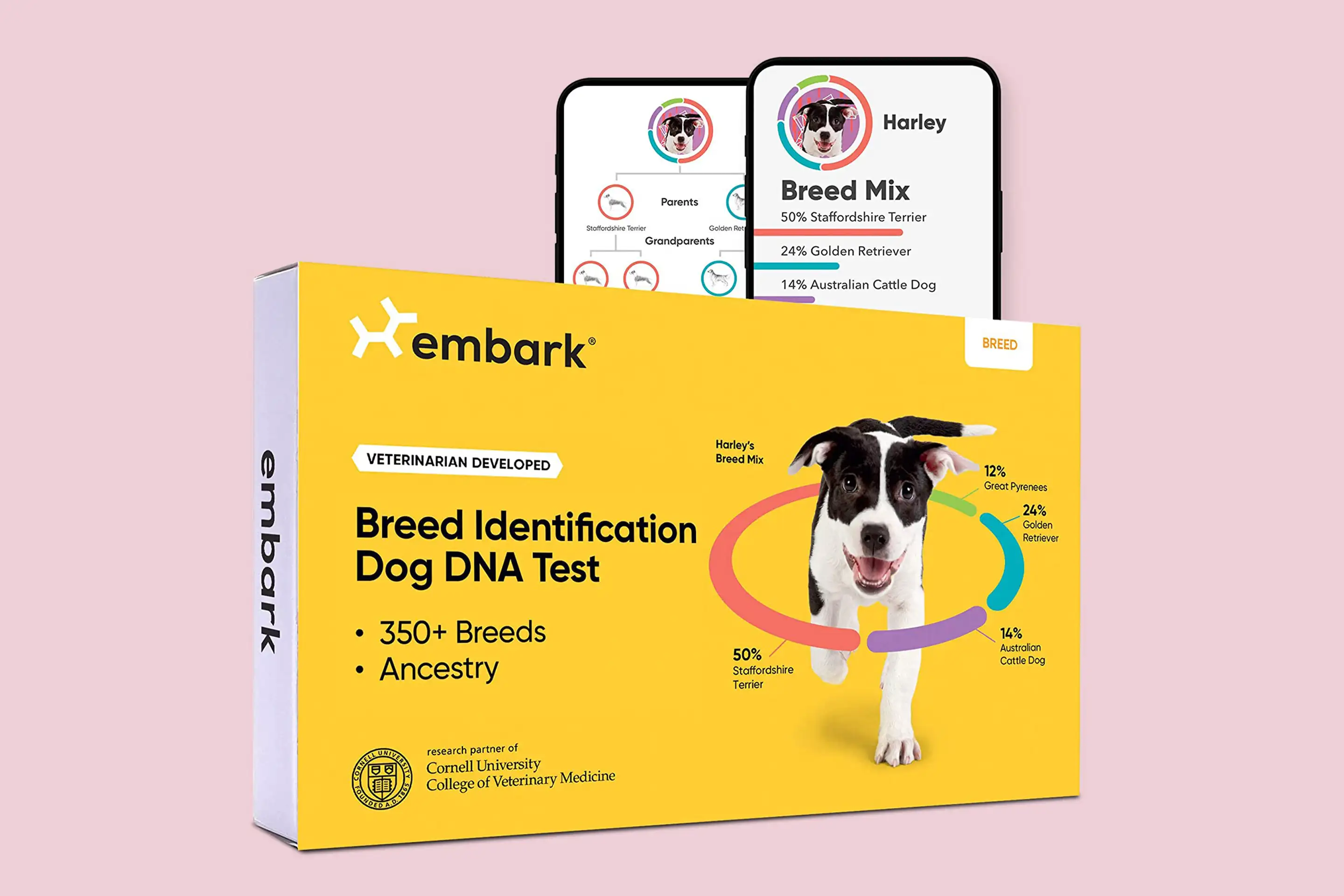 Best Dog DNA Test