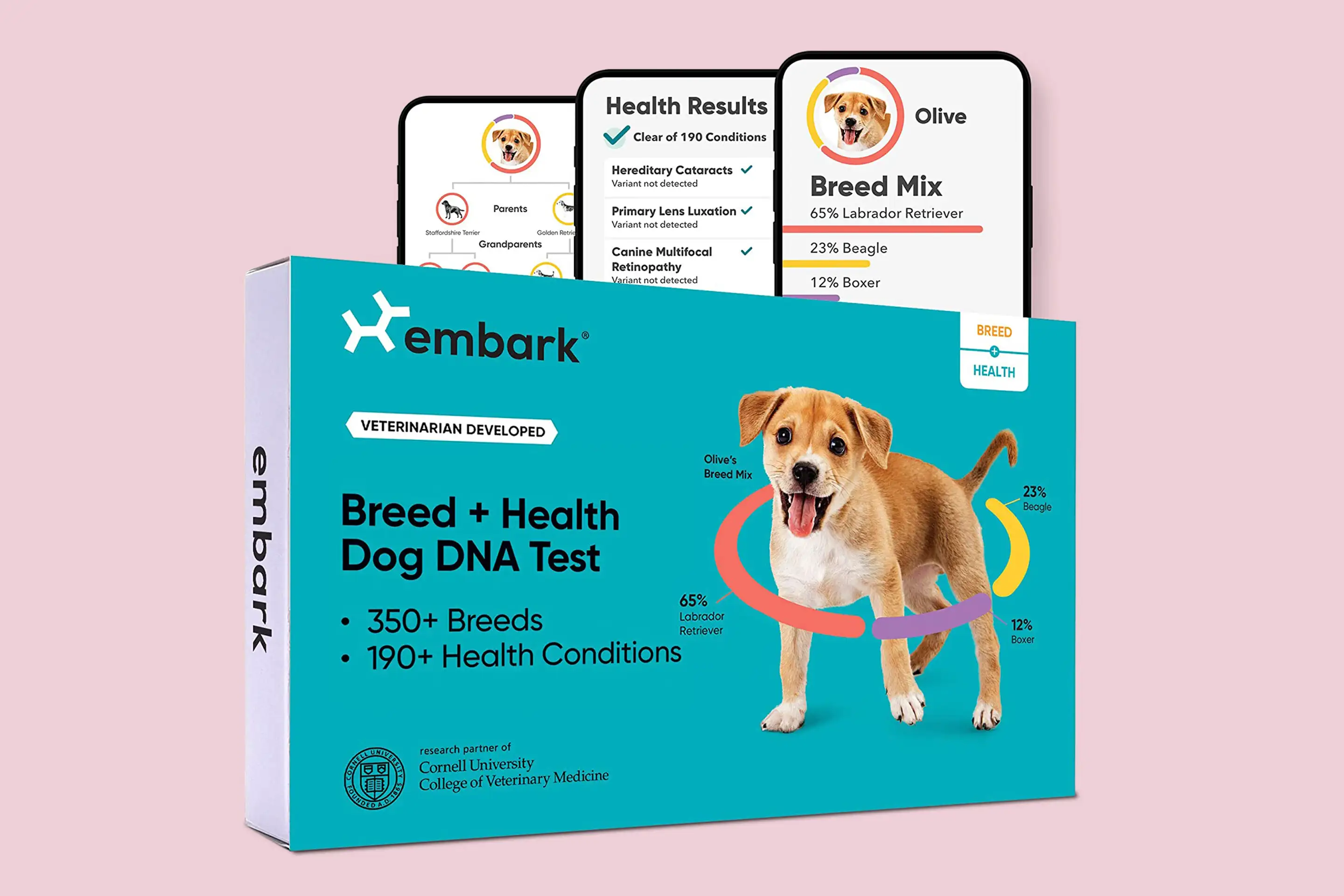 Best Dog DNA Test