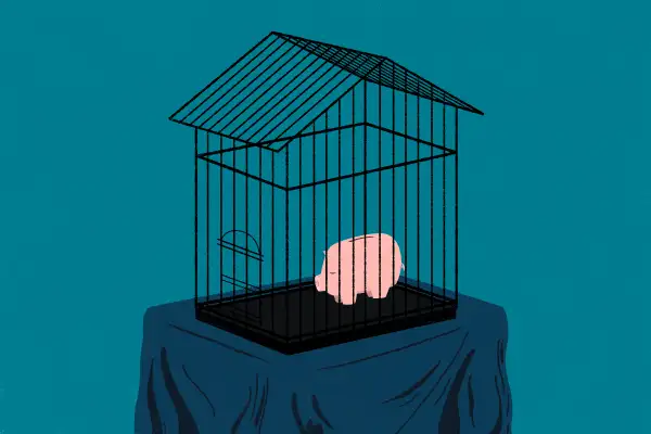 Retirmement Savings for a Down Payment, piggy bank in a cage