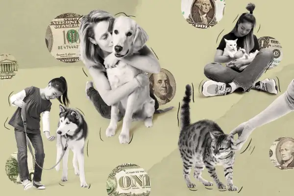 Photo Collage of pets with their owners and money in the background