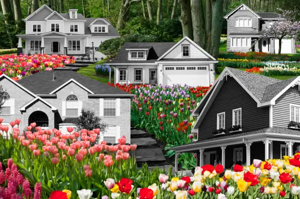 Photo collage of multiple houses on a hill in between fields of flowers
