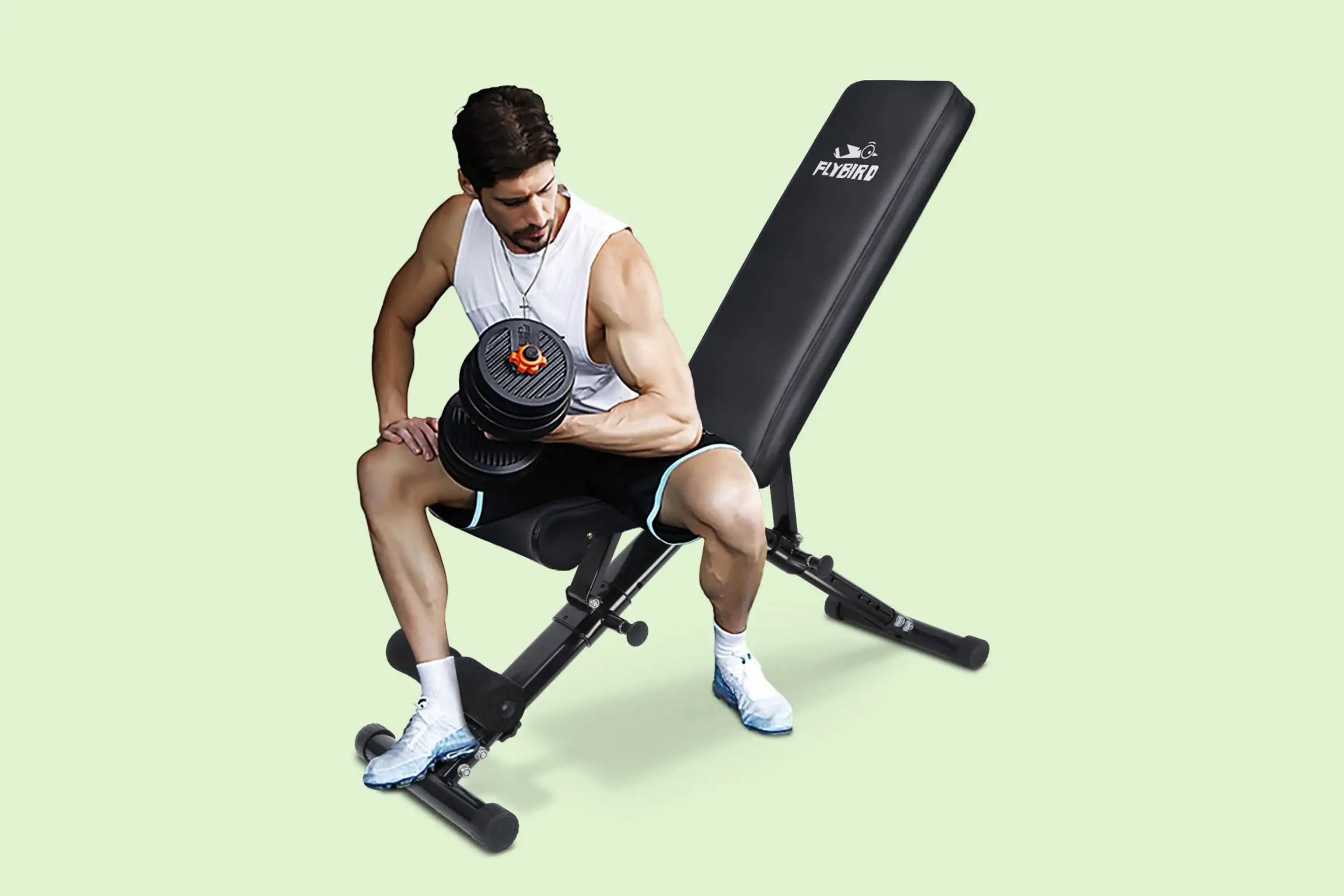 Flybird Adjustable Workout Bench FB149