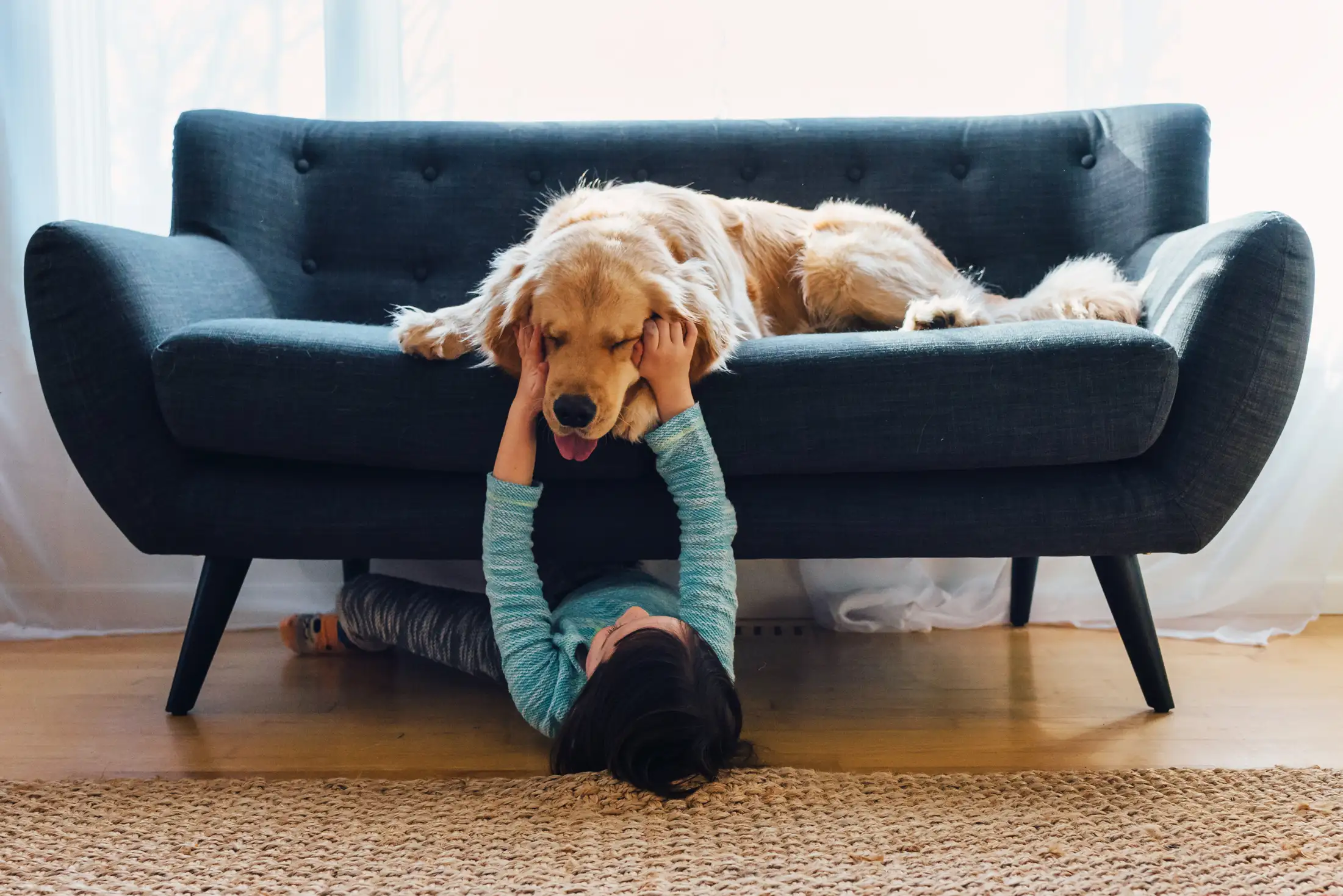 Girl lying under sofa playing with her golden retriever dog