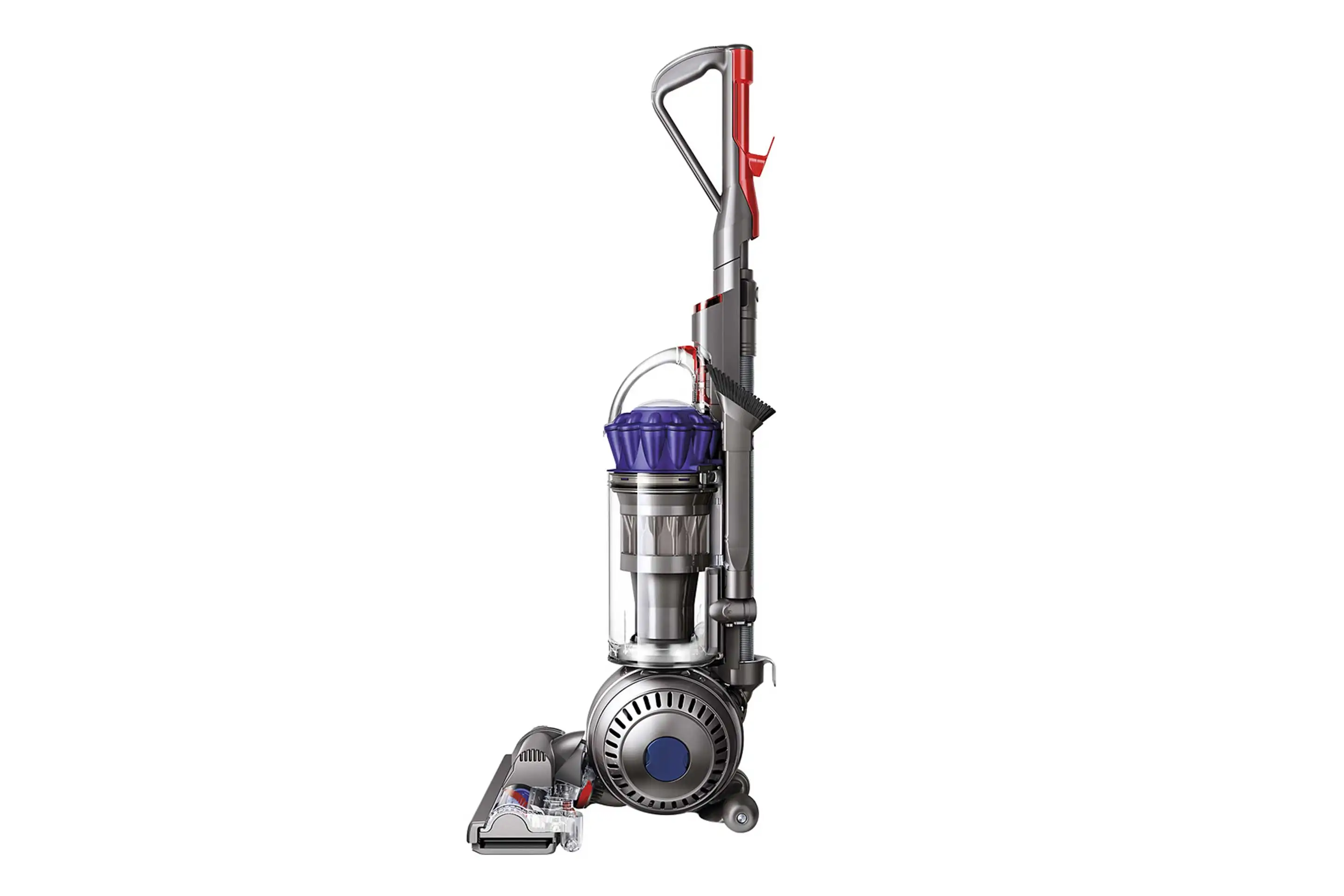 Dyson Ball Animal