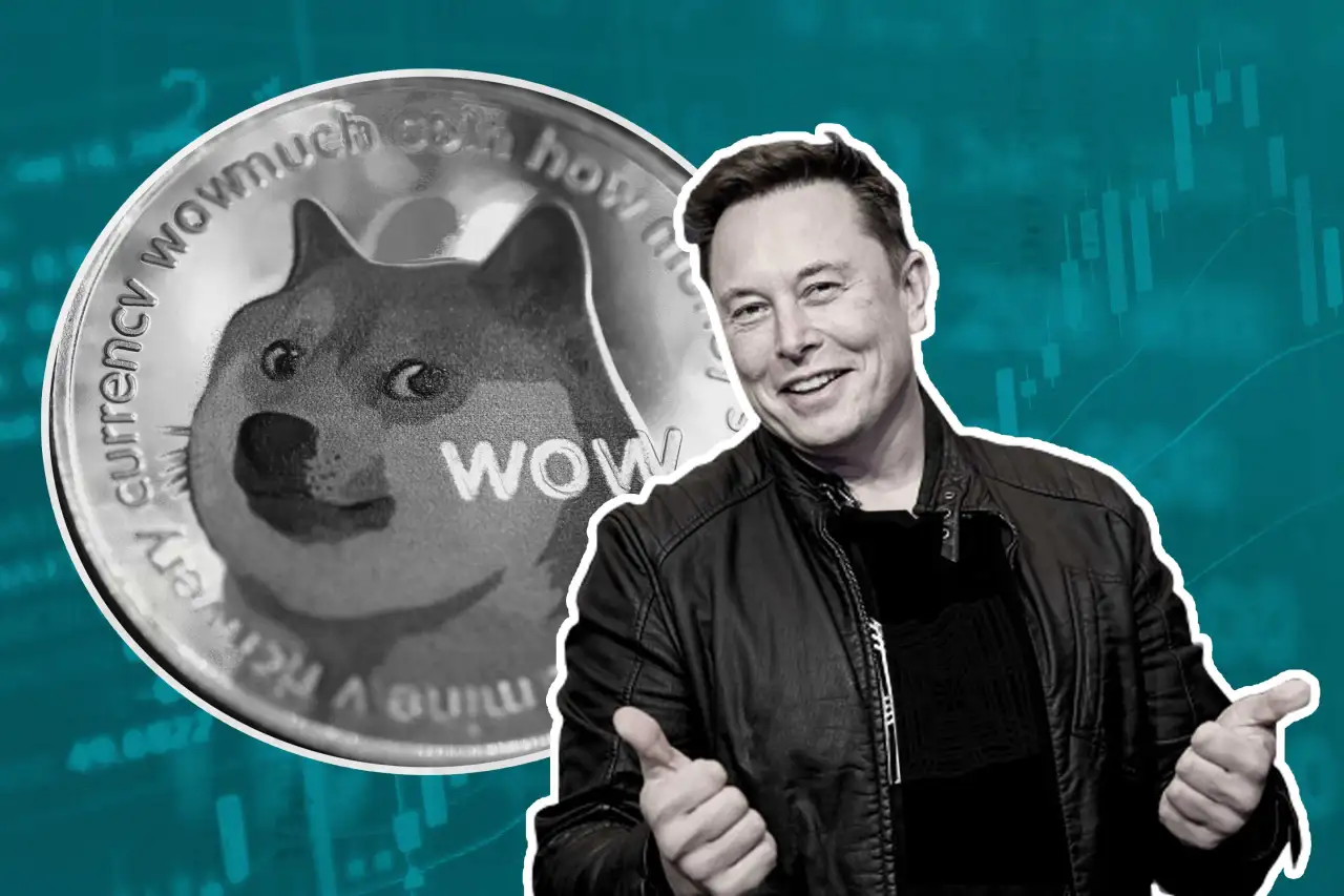 Elon Musk Tweets, Dogecoin Price Soars: Crypto Investor Tips | Money