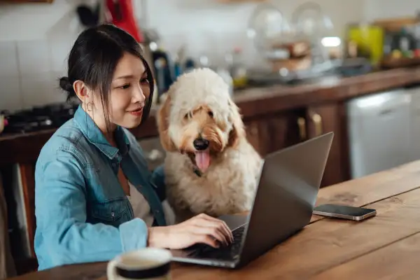 Photo of a women with a dog happily browsing online on her laptop