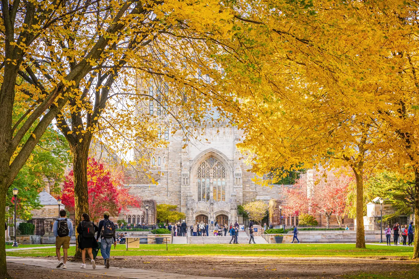 Sterling Memorial Library at Yale University