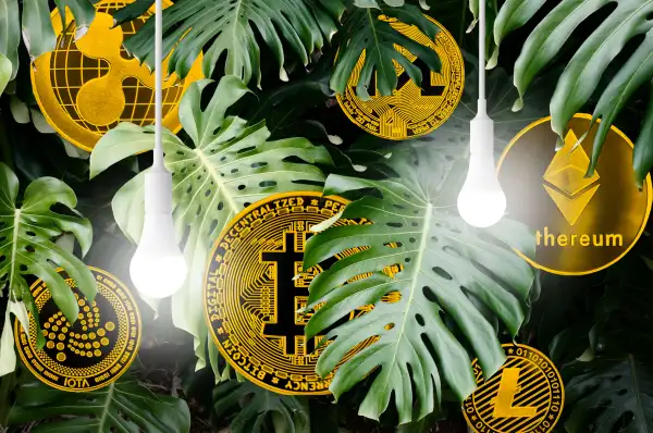Collage of multiple cryptocurrency coins in-between leaves in the forest and two light bulbs handing from the top of the frame