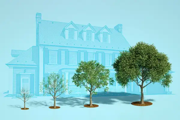 Collage of a home with multiple trees in different stages of growth