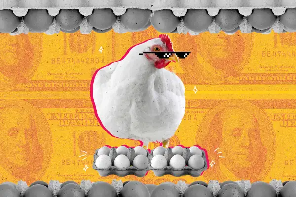 Photo collage of a cool chicken with sunglasses proud of her extremely expensive eggs for sale