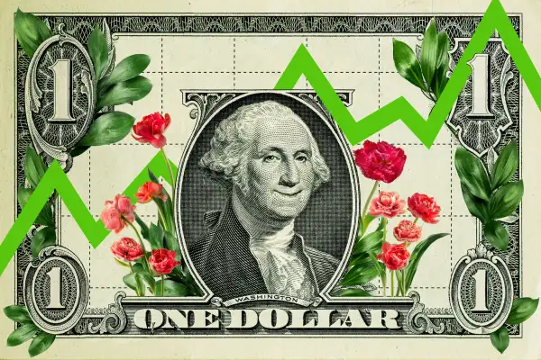 Photo Illustration of a dollar bill with flowers growing around a smiling George Washington and a positive stock market arrow