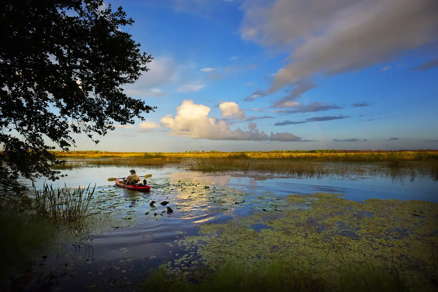 Kayaking Savannas Perserve State Park