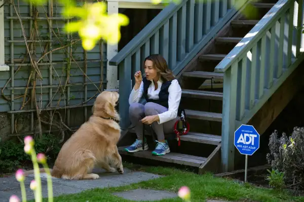 Woman sitting on porch giving a treat to a Golden Retriever.