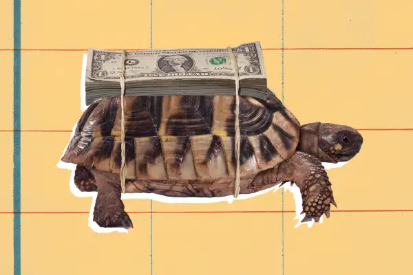 Photo-illustration of a turtle walking with money strapped to its back