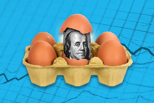 Carton of eggs with money breaking out of the shell