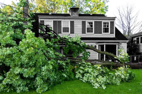 Suburban House with a fallen tree in the front yard