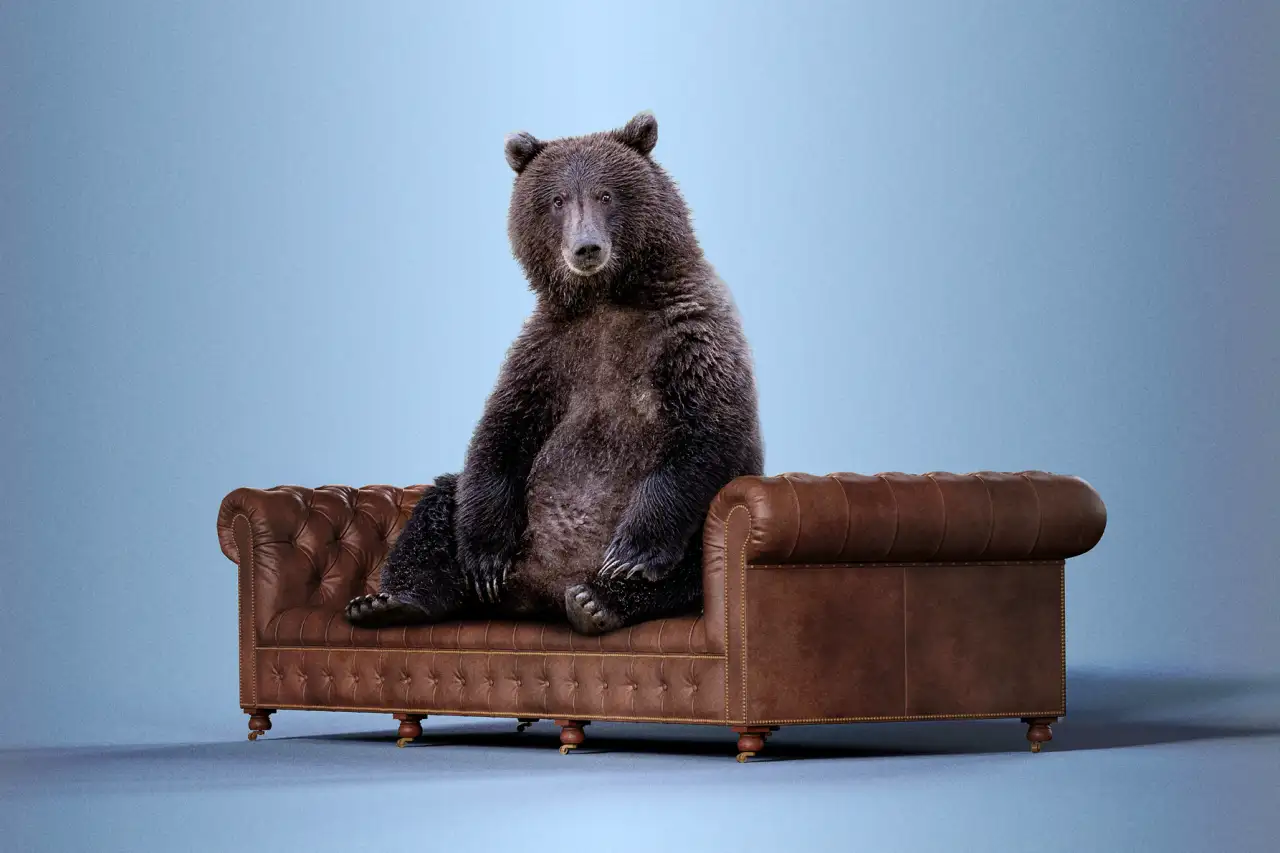 Recession Vs. Bear Market: Which is Worse? | Money